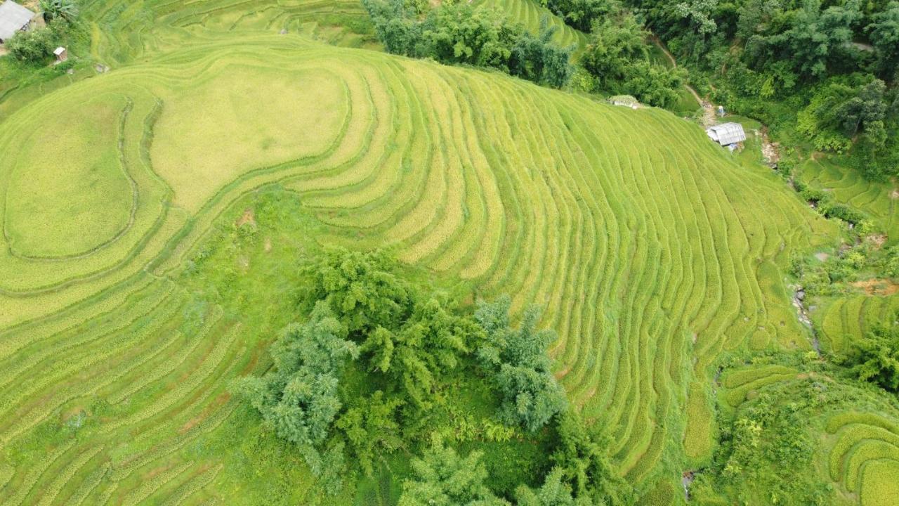 May Homestay Sapa Zewnętrze zdjęcie