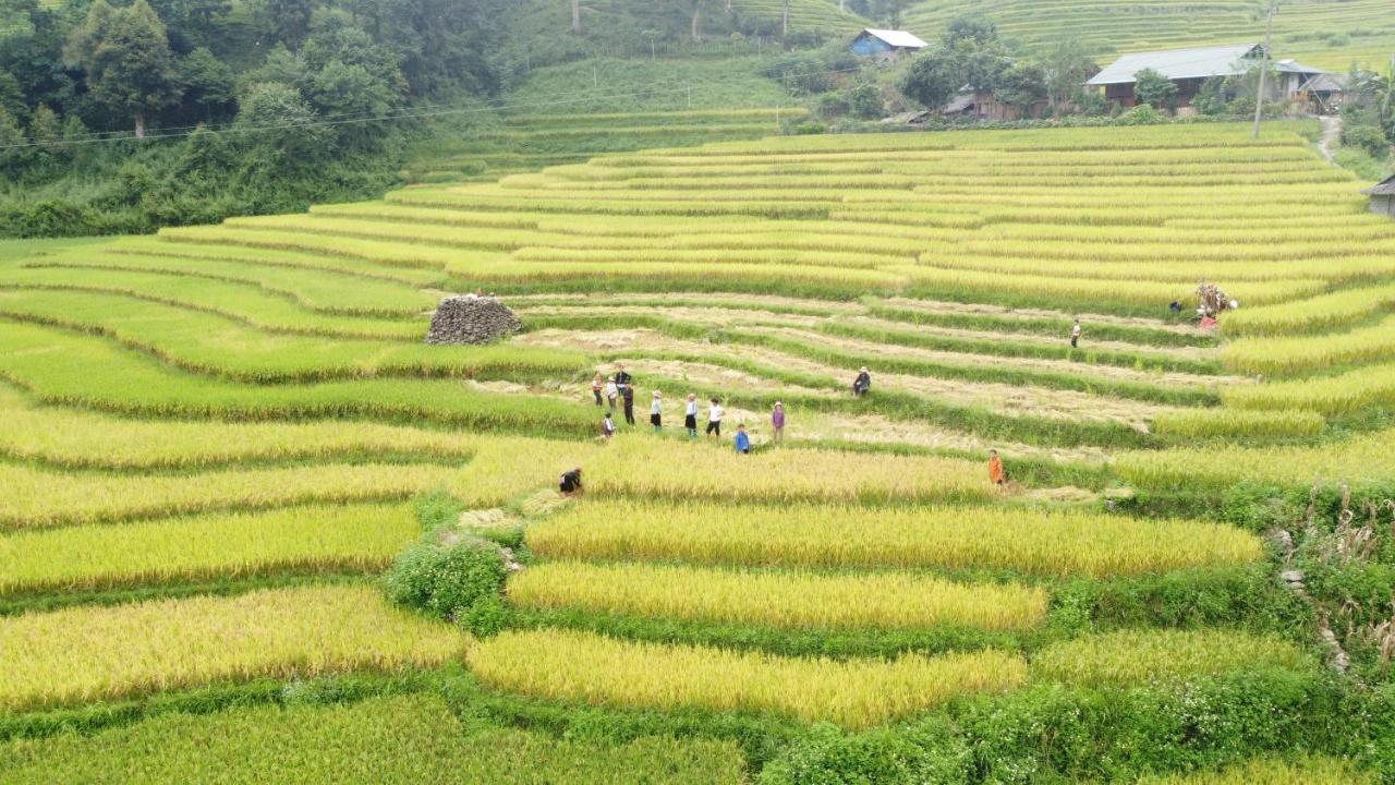 May Homestay Sapa Zewnętrze zdjęcie